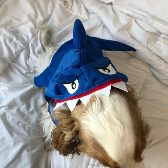 Other - Shark Costume for  medium to small dog